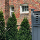 Designing a Unique Garden Fence