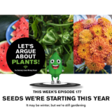 Episode 177: Seeds We’re Starting This Year 