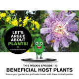 Episode 173: Beneficial Host Plants for Pollinators