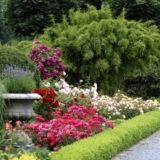 Simple Tips for Creating Beautiful Garden Borders