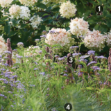 Planting Plan for a Sophisticated Pollinator Garden