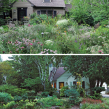 Two Inspired Designs for a Front Yard Garden