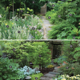 Planting Plans for Inspired Designs for a Front Yard Garden