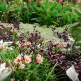 GPOD on the Road: Behind the Scenes at Coastal Maine Botanic Garden, Part 1