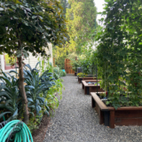 Lizzi’s Front Yard Veggie Garden in Washington