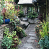 Karen’s Garden Goes From Blank Slate to Bounty