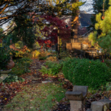 Kevin’s Pennsylvania Garden in November