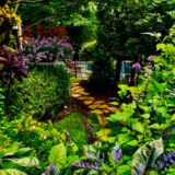Christine’s Award-Winning Garden in Quebec