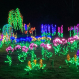 GPOD on the Road: Garden d’Lights at Bellevue