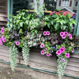 GPOD on the Road: More Bar Harbor