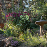 Karen’s Oregon Garden Through the Seasons