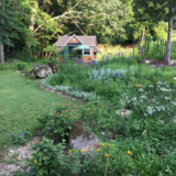 Highlights from Phyllis’s Garden in New Jersey