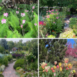 Giving Thanks to the GPOD Community