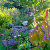 Chickens in Tingshu’s Garden – Fine Gardening