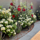 Two Gorgeous Gardens in Boise