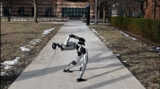 Humanoid Robots Learning To Get Up