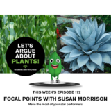 Episode 172: Focal Points with Susan Morrison